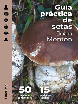 cover image of Guía práctica de setas